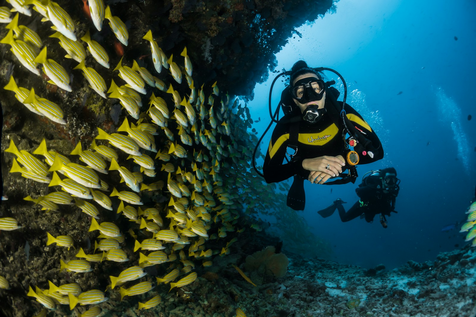 Curso de Buceo de iniciación — especialidad Servicios Especiales